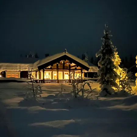 Feriehus Mountain With Cinema Near Synnfjellporten *